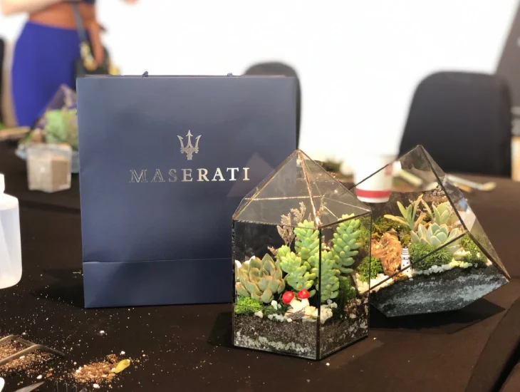Eco-friendly corporate terrarium workshop in Malaysia