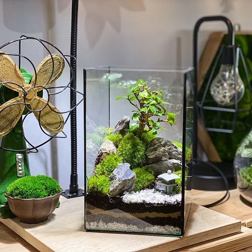 Terrarium DIY Set - Petite Zen Garden (Nationwide delivery)