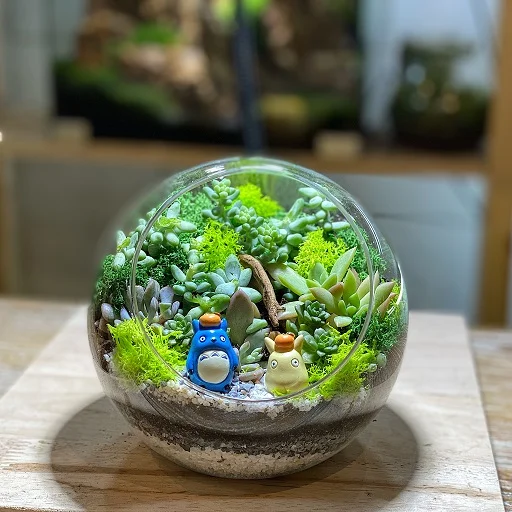 Succulent Globe Forest Terrarium