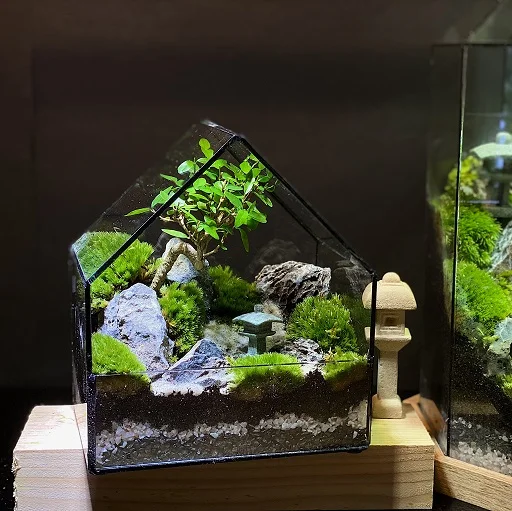 ZEN PAVILION Terrarium