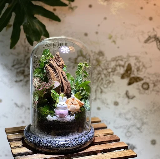 Terrarium DIY Set - Little Forest World (Nationwide delivery)