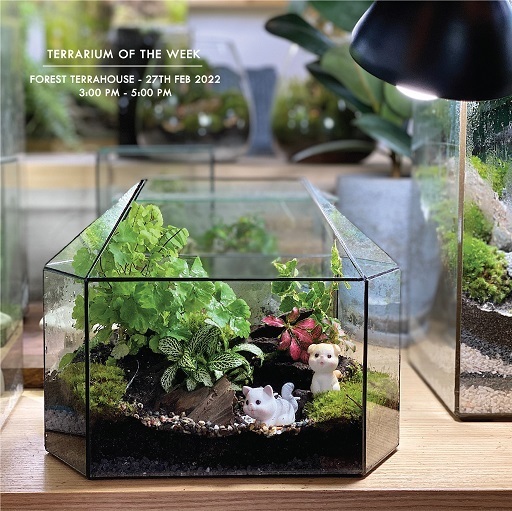 270222 AFTERNOON WORKSHOP