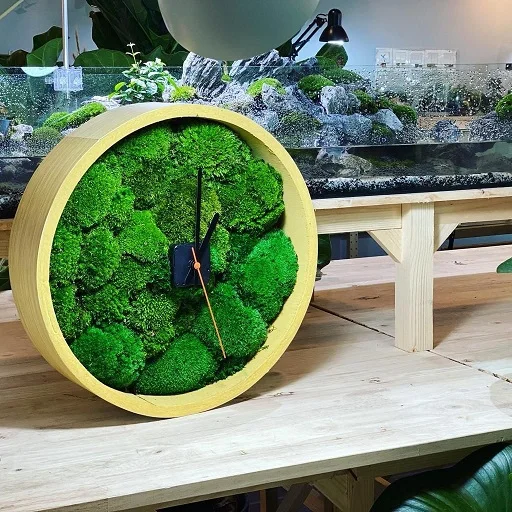 Preserved Moss Clock