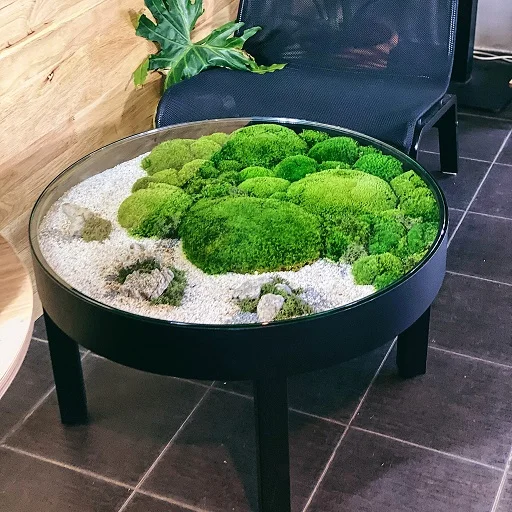 Matte Black Preserved Moss Table