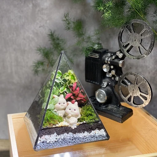 Terrarium DIY Set - Pyramid Forest II