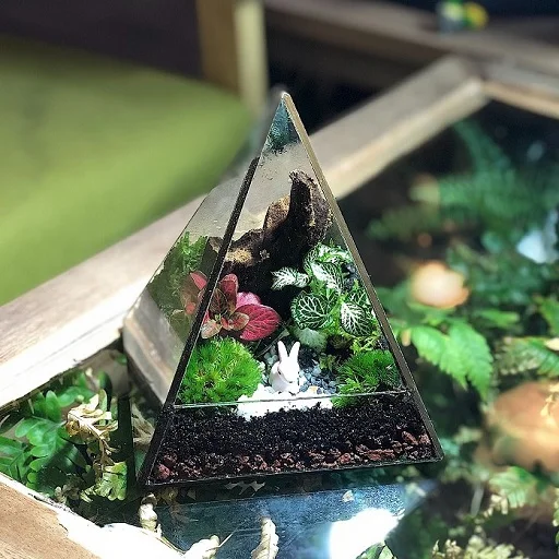 Pyramid Forest II Terrarium