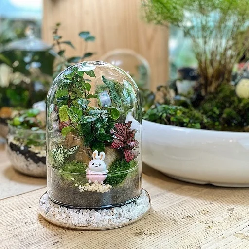 Forest Globe III Terrarium