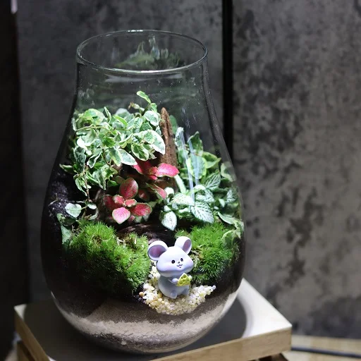 Forest Valley Terrarium