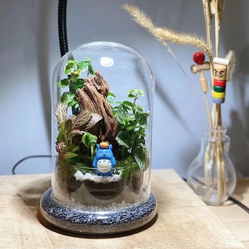 Forest Globe IV Terrarium