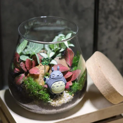 My Little Forest Terrarium