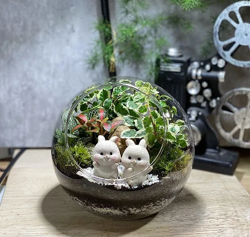 Terrarium DIY Set - Globe Forest 12