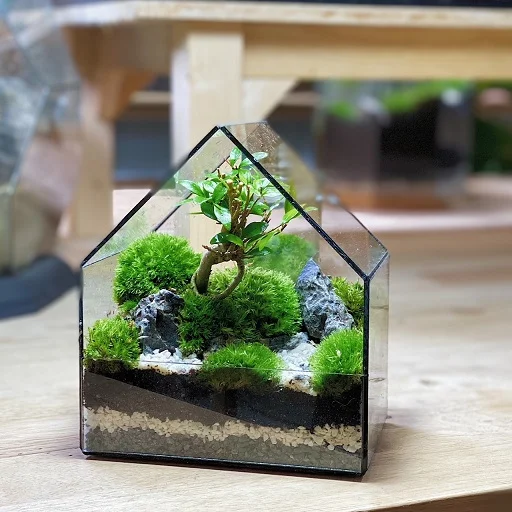 Terrarium DIY Set - Zen Pavilion