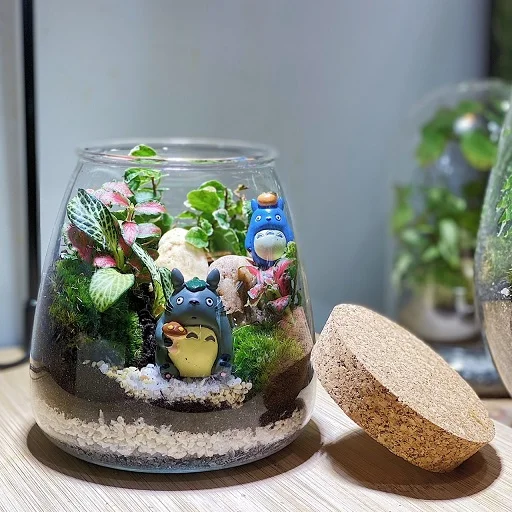 Terrarium DIY Set - My Little Garden II