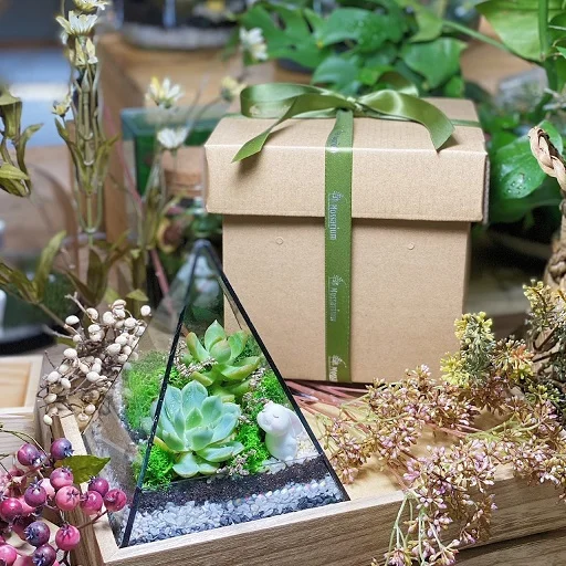 Corporate Door Gift Set Online Exclusive – (Pre-order)Pyramid Forest x 10 Sets