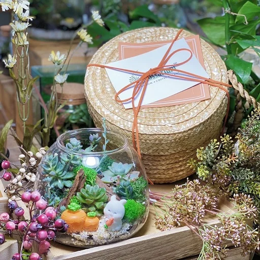 Corporate Door Gift Set Online Exclusive – (Pre-order)Dome Forest x 10 Sets