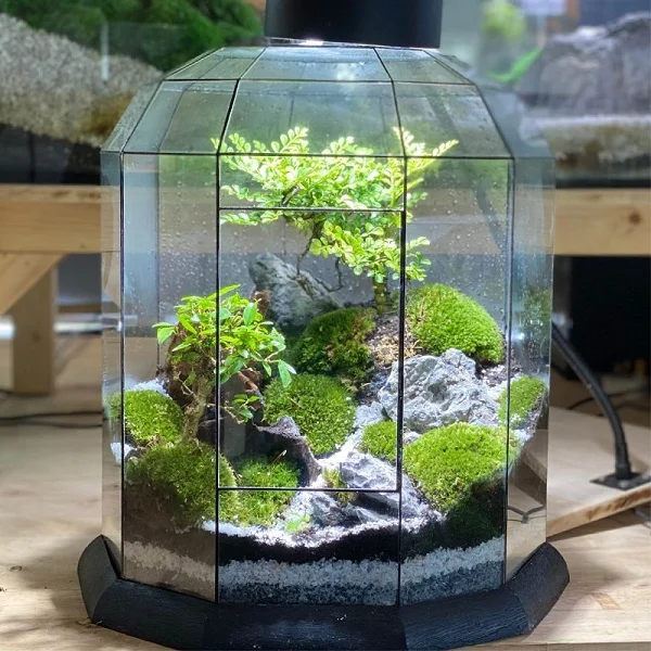 Tourmaline M - Zen Garden Terrarium