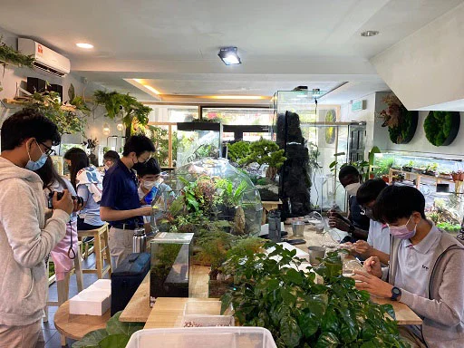 Eco-friendly corporate terrarium workshop in Malaysia