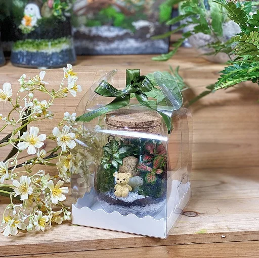 Corporate Door Gift Set Online Exclusive – (Pre-order)Forest Terrarium