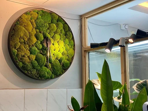 Custom-designed moss wall for retail shop feature wall