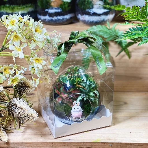 Corporate Door Gift Set Online Exclusive – (Pre-order)Miniature Terrarium x 10 Sets