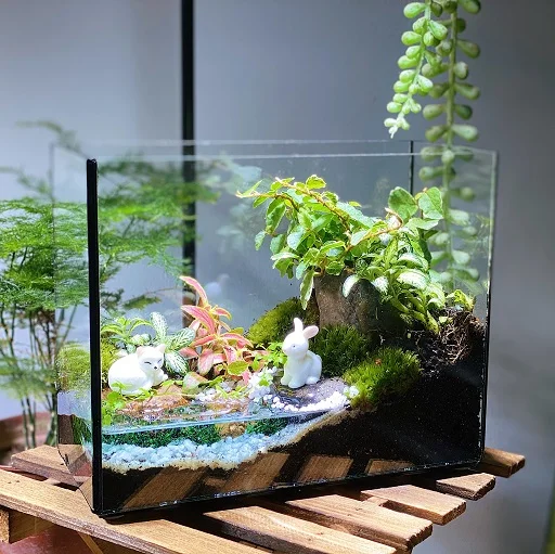 Lakeside Valley Terrarium