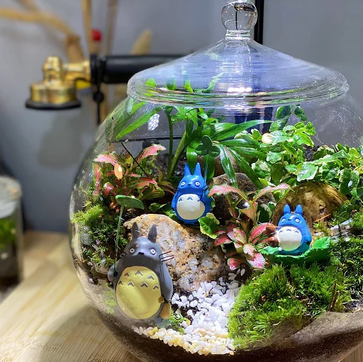 Tropical Rainforest World Terrarium