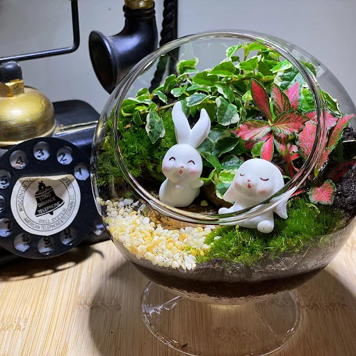 Globe Forest Terrarium