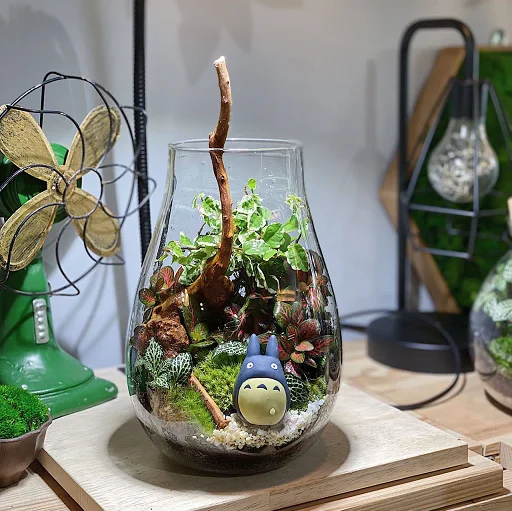 Forest Vessel Terrarium