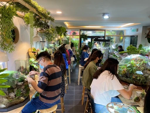 Eco-friendly corporate terrarium workshop in Malaysia