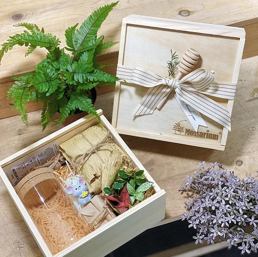 Corporate Door Gift Set Online Exclusive –  (Pre-order)Enchanted Forest x 10 Sets