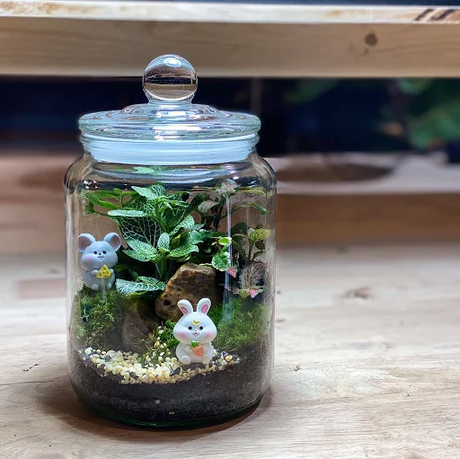 Jar Forest Terrarium
