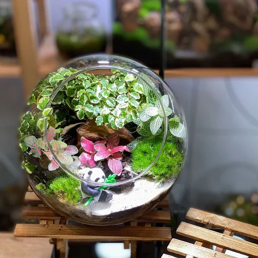 Globe Forest II Terrarium