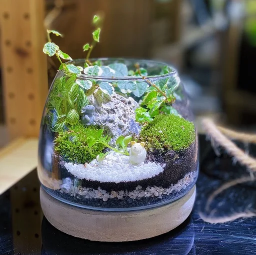 Forest Terrarium - S Terrarium