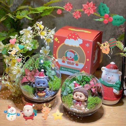 Merry X’Mas Joyous Set