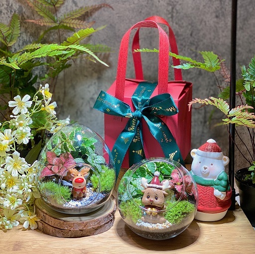 Merry X’Mas Merry Set