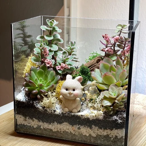 Terrarium DIY Set - Succulent Forest