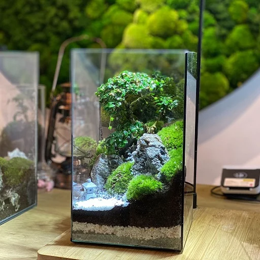Zen Garden IV Terrarium