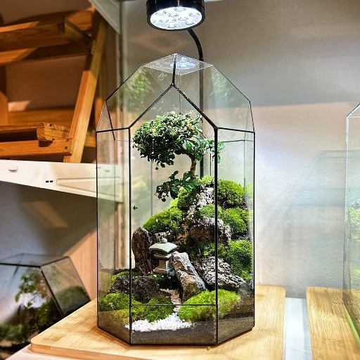 The Olympus Zen Garden Terrarium – Medium