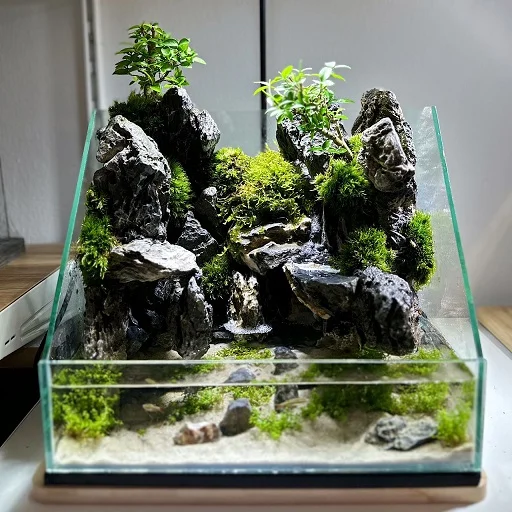 Paludarium - Zen Bonsai Forest