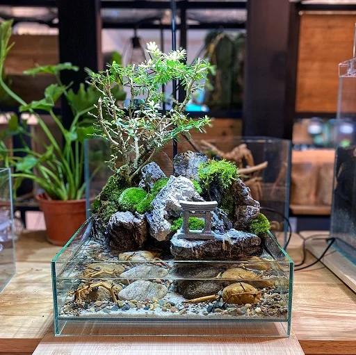 Paludarium - The Zen Garden