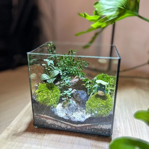 Zen Petite Forest Terrarium