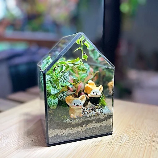 Petite Greenhouse Terrarium