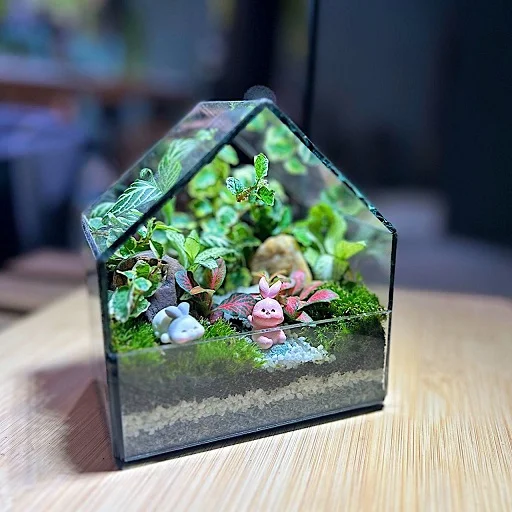 Petite Forest House Terrarium