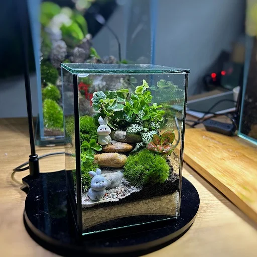 Corporate Door Gift Terrarium Set Online Exclusive – (Pre-order)Nano Forest x 10 Sets