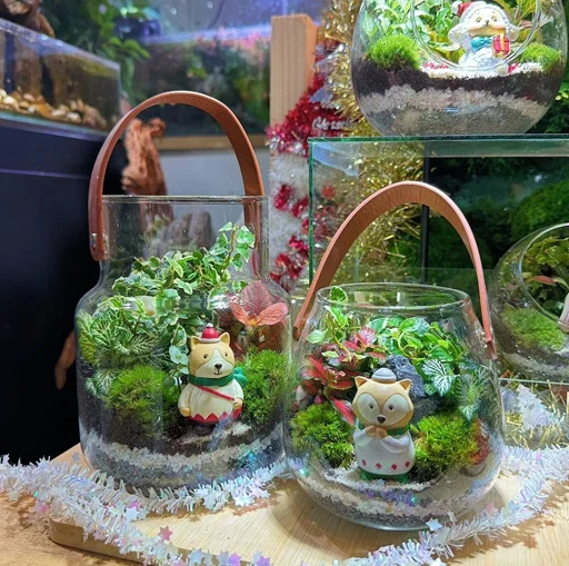 My Special Forest Terrarium