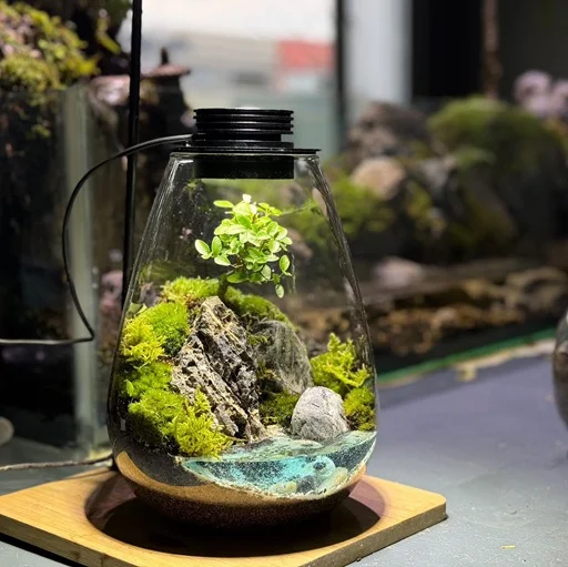 Mossarium Lake M