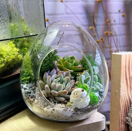Corporate Door Gift Terrarium Set Online Exclusive – (Pre-order)Eggshell Succulent x 10 Sets