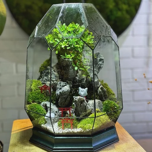 Geometric Ovoid Terrarium (Limited Edition)