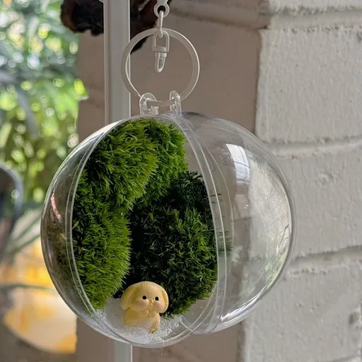Corporate Door Gift Set Online Exclusive – (Pre-order) Preserved Moss Globe x 30 sets