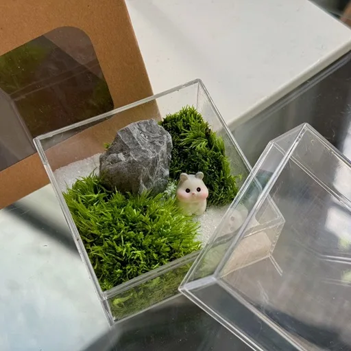 Corporate Door Gift Set Online Exclusive – (Pre-order)Zen Moss Cube x 30 Sets